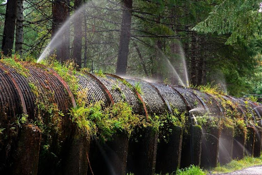 Typical wood stave penstock with damage in the U.S. Northwest
