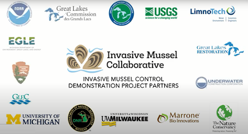 Zebra Mussel Management Project Photo 9 Zebra Mussel Management Project Logos